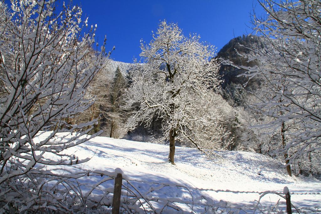 Hotel Panoramic Bagneres-de-Luchon Экстерьер фото